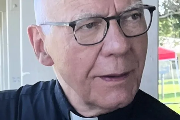Father Anthony Shonis      Photo by BERRY CRAIG