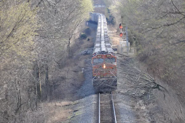 A wind-toppled tree stopped this train in Hickman County.