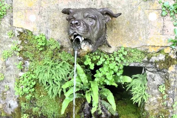 Devil Dog fountain Belleau Wood      Photo by BERRY CRAIG