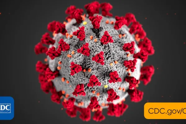 2019-coronavirus.png