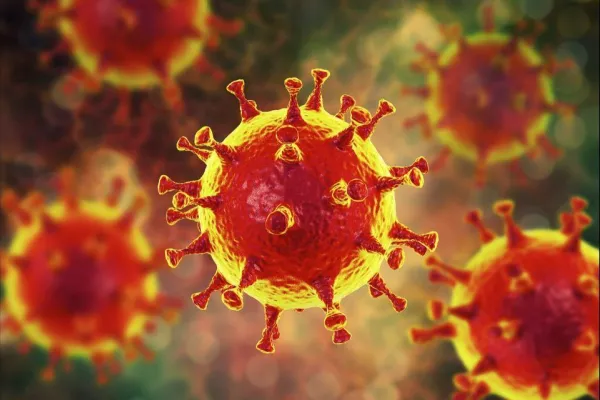 coronavirus.jpg