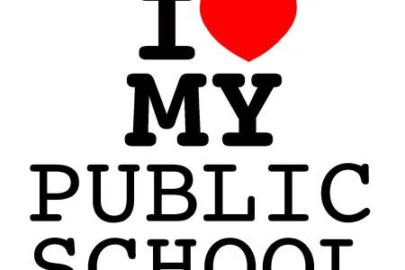public_schols.png