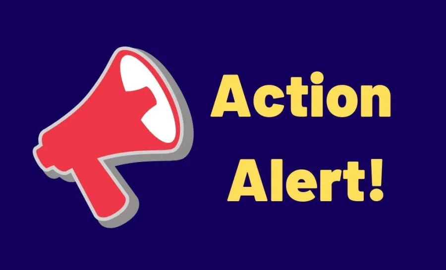 Action Alert!