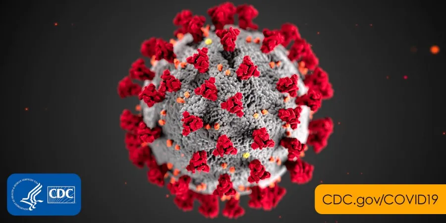 coronavirus_2.png